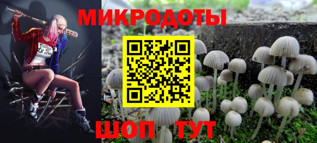 Псилоцибиновые грибы Psilocybe  Вход с VPN  цена наркотик  Кисловодск 